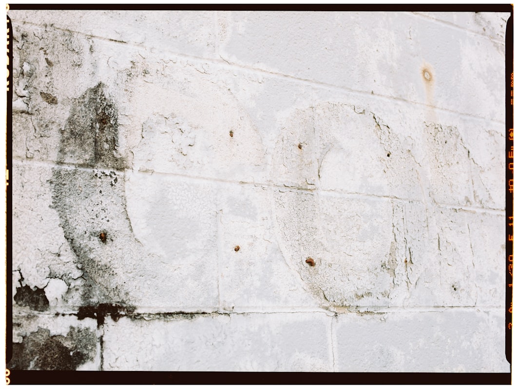 Mold Remediation service in Huntsville, AL